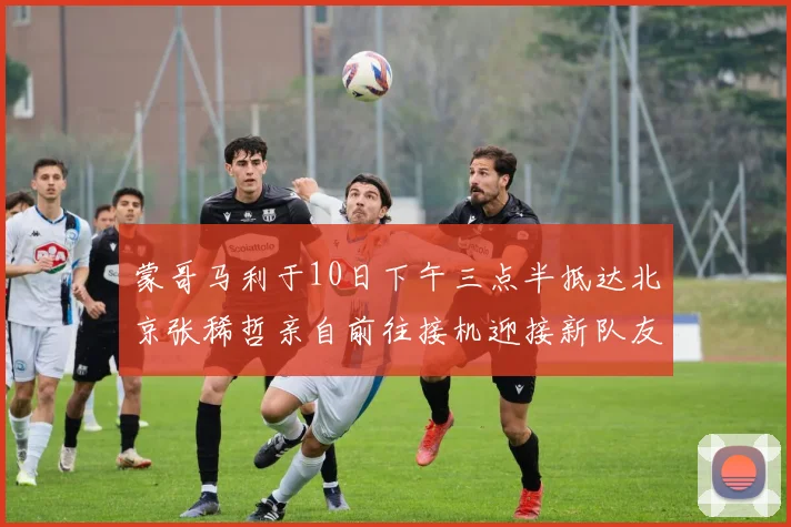 蒙哥马利于10日下午三点半抵达北京张稀哲亲自前往接机迎接新队友