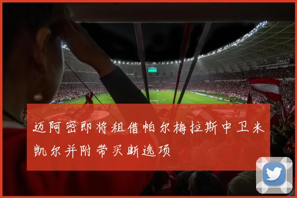 迈阿密即将租借帕尔梅拉斯中卫米凯尔并附带买断选项